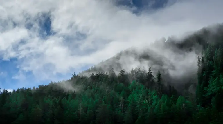 Les îles cachées du Canada : paradis inexplorés