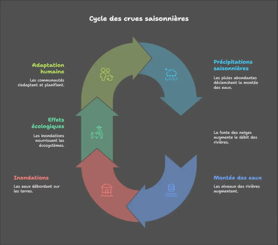 Causes géographiques et environnementales