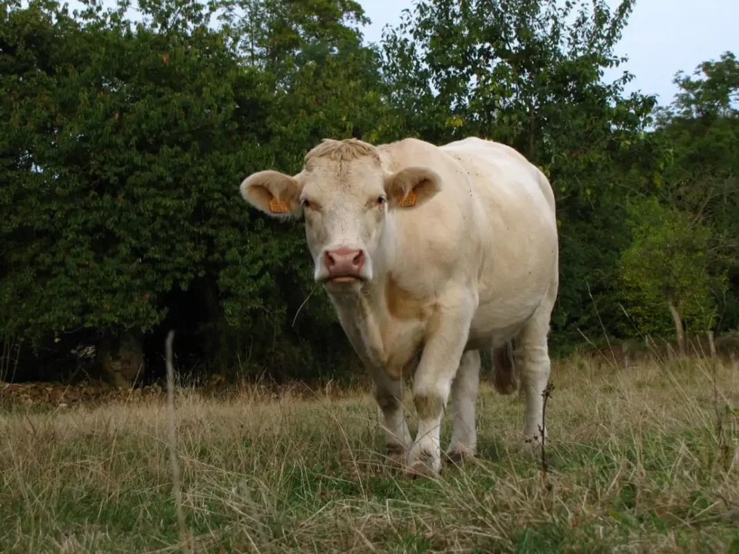 Des agriculteurs au cœur du changement