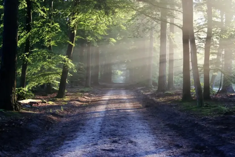 Nature, environnement et agriculture : un équilibre vital pour l’avenir