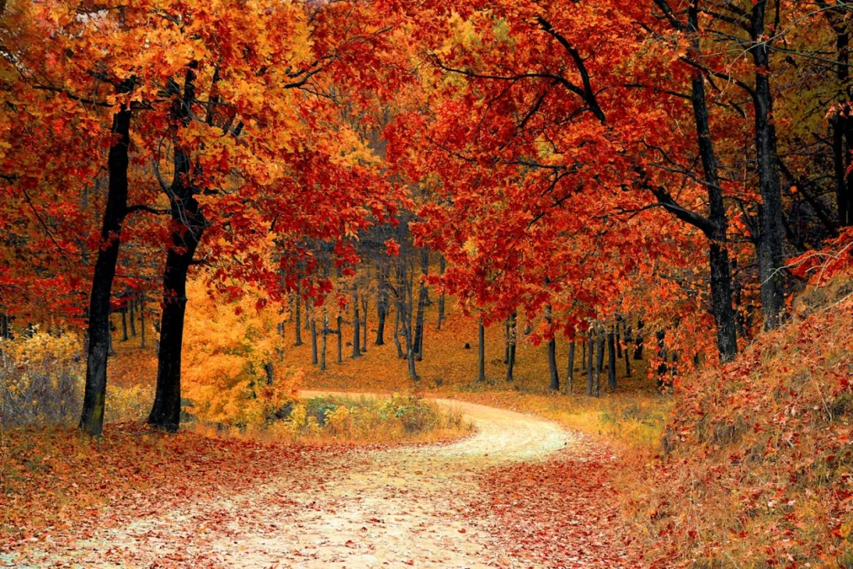 Les meilleures destinations à voir cet automne