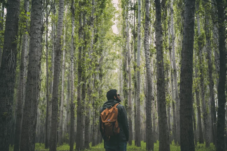 Camouflage et couleurs en chasse et pêche : science, psychologie et conseils pratiques