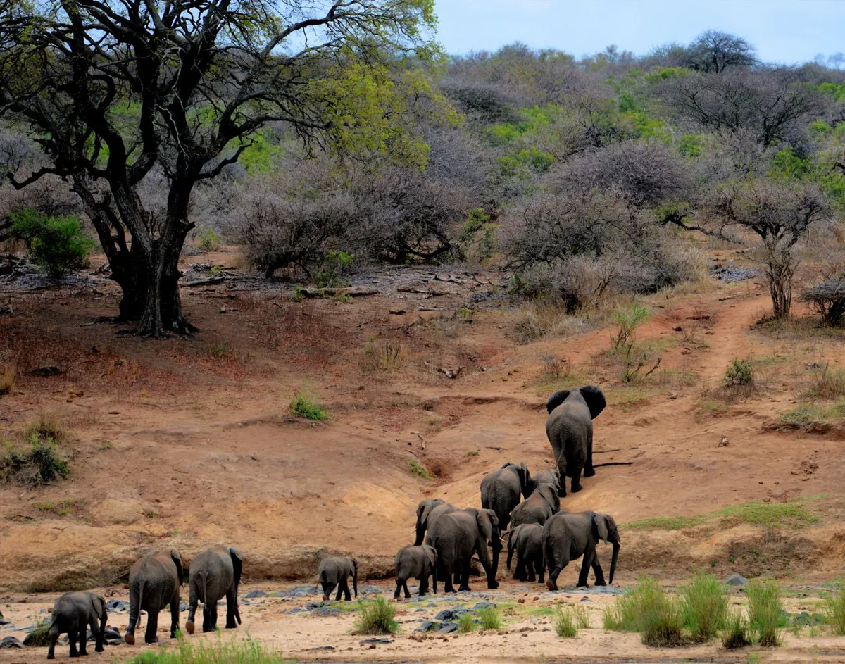 Paysage d’Afrique de l’Est évoquant l’Ouganda et les repères géographiques des pays en O