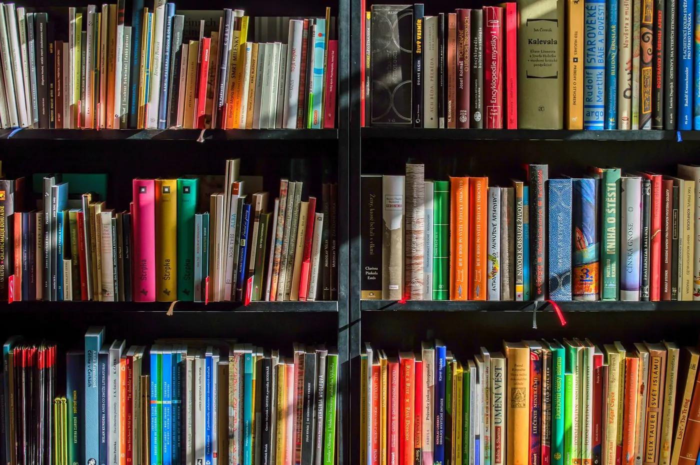 Bibliothèque remplie de livres colorés, symbole du vocabulaire