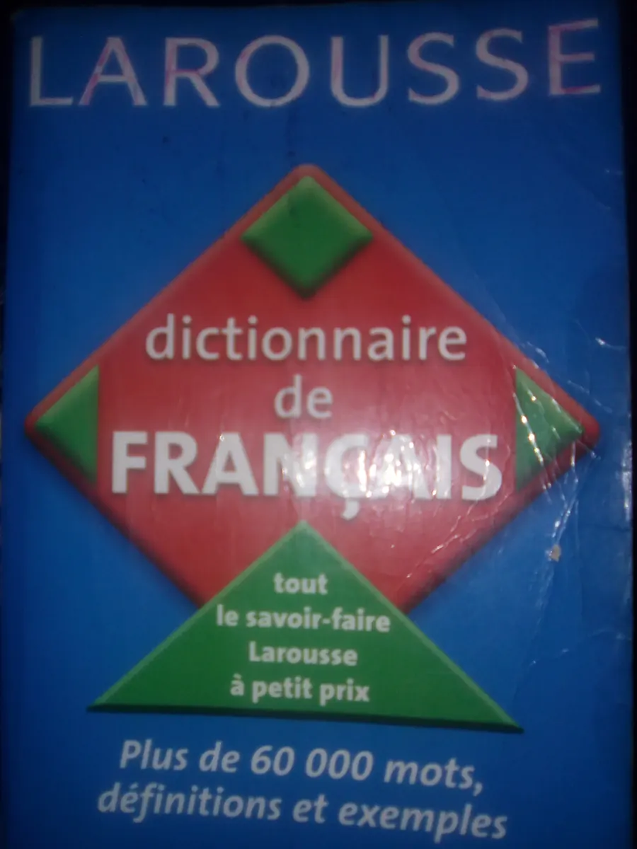 Dictionnaire Larousse ouvert, pour comprendre la signification du mot hormis