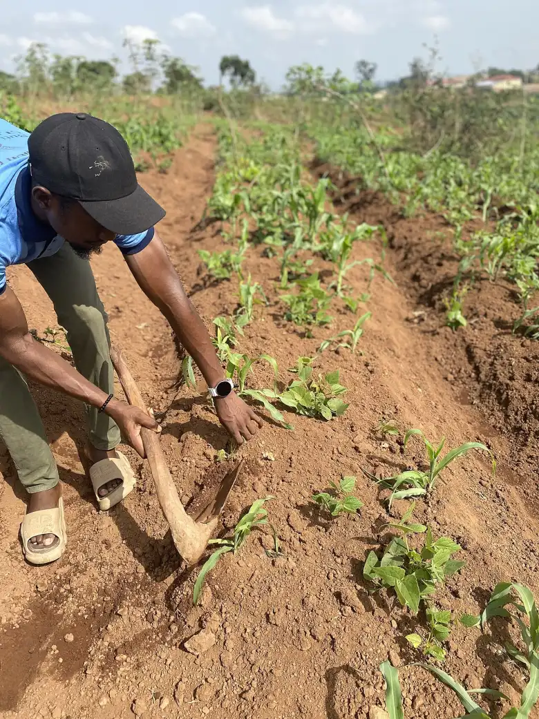 Agriculteur travaillant la terre avec une houe dans un champ
