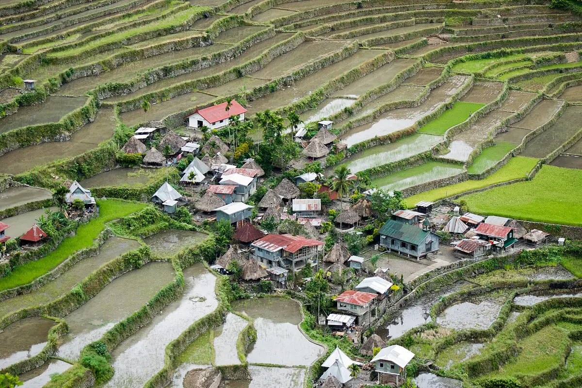 Rizières en terrasses de Batad en amphithéâtre dans la cordillère, Philippines, pays en P