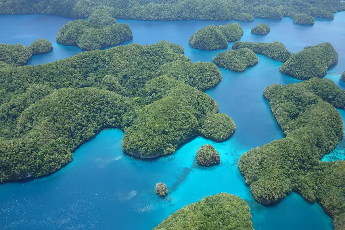 Vue aérienne des Rock Islands, îlots calcaires couverts de forêt dans un lagon turquoise, Palaos, pays en P