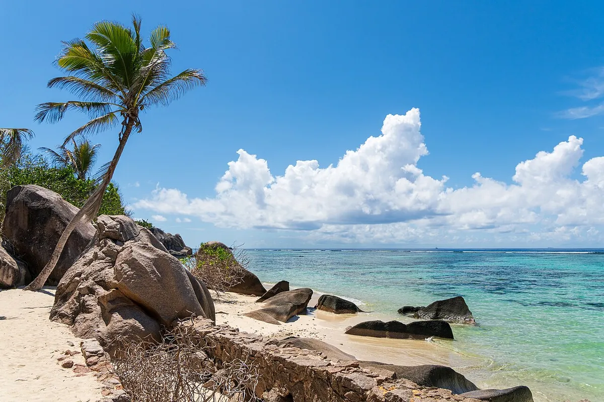 Plage de l’Anse Source d’Argent avec ses rochers de granite, un cocotier et une eau turquoise, sur l’île de La Digue, Seychelles, pays en S