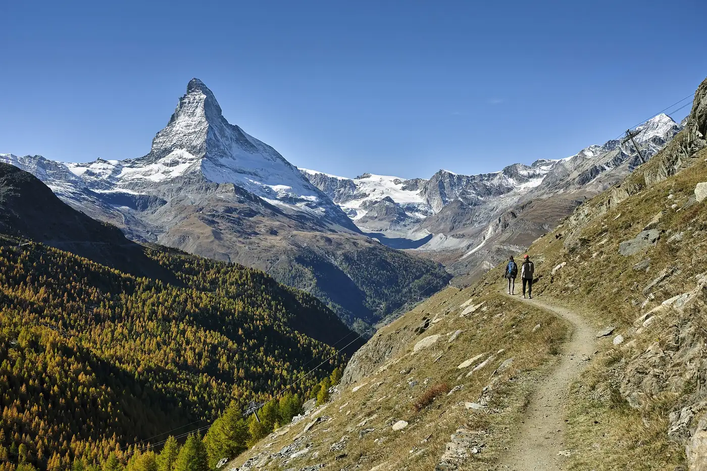 Le Cervin (Matterhorn) enneigé dominant une vallée de mélèzes dorés près de Zermatt, en Suisse, pays en S
