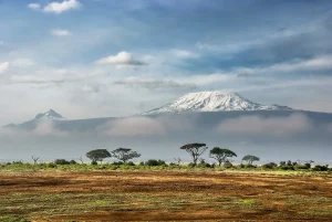 Le Kilimandjaro et son sommet enneigé au-dessus de la savane et des acacias, plus haut sommet d’Afrique, en Tanzanie, pays en T